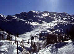 Bohinj apartments - Vogel in winter