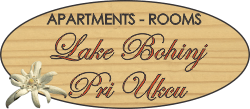 Bohinj Apartments 300m from lake Bohinj